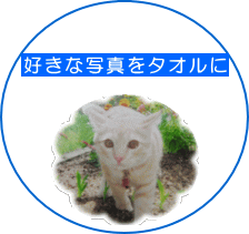 写真タオル